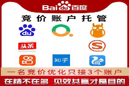 竞价广告与自然搜索的结合策略：XX网站的案例分析